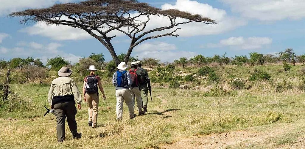 Safari Terms